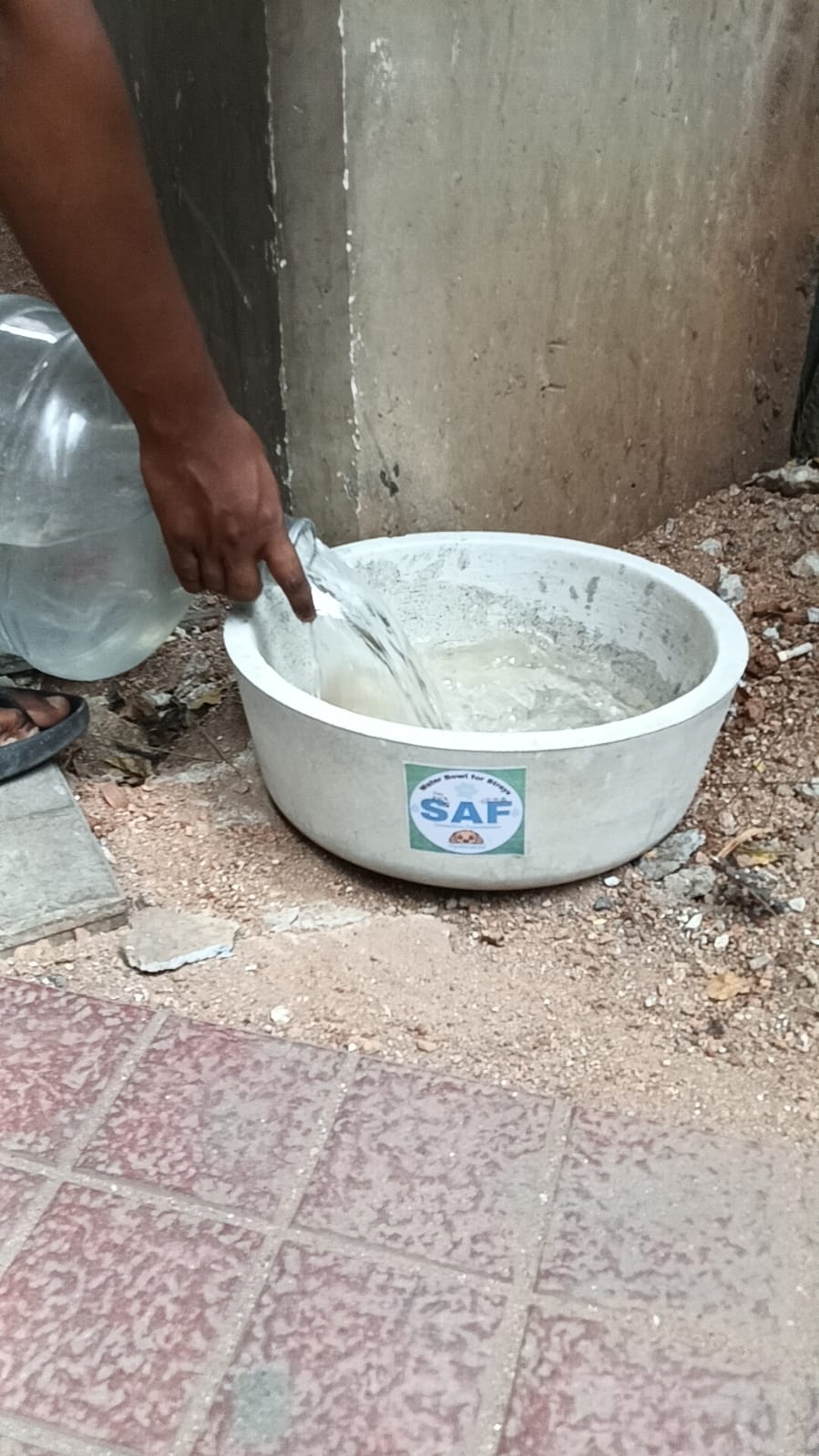 Water bowl installation